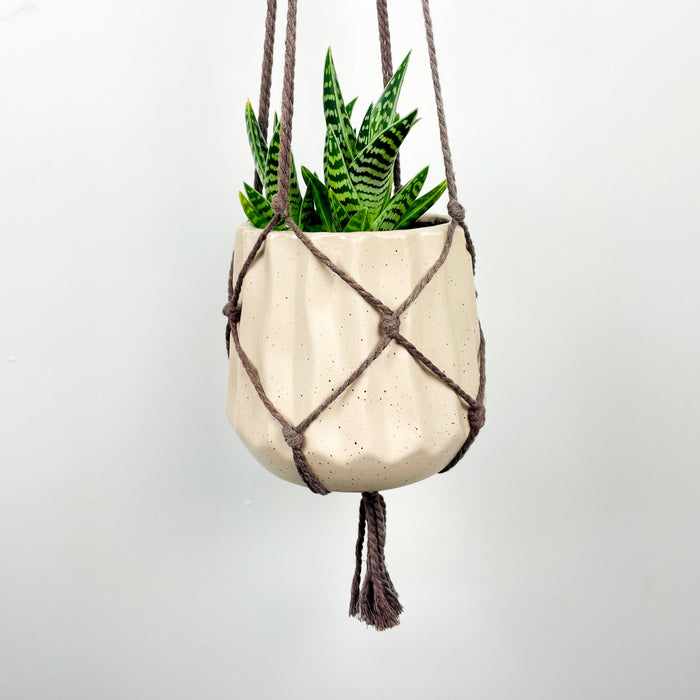 Горіховий настінний гачок для декору та рослин | Стиль бохо