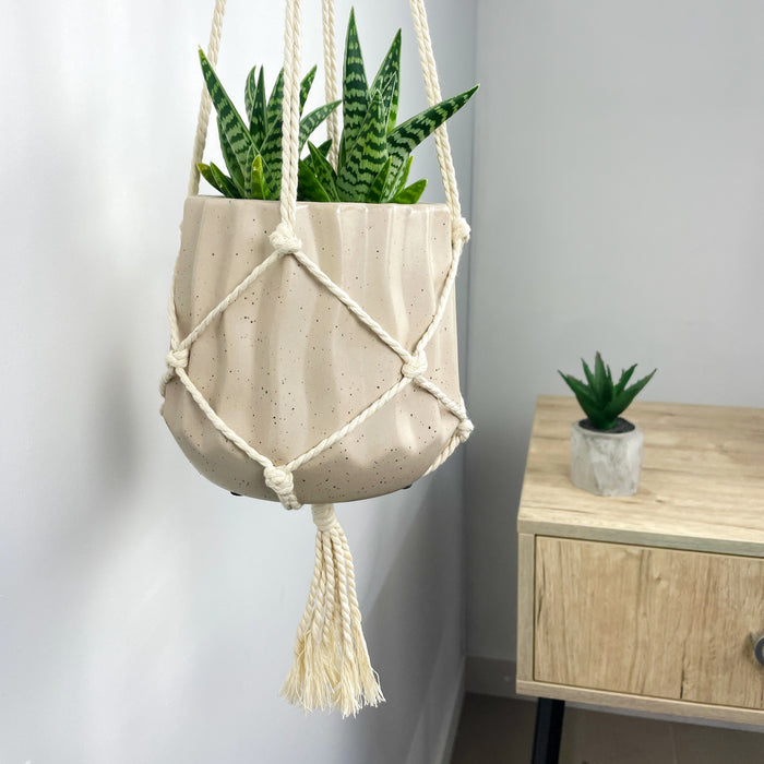 Настінний гачок для декору та рослин | Скандинавський стиль