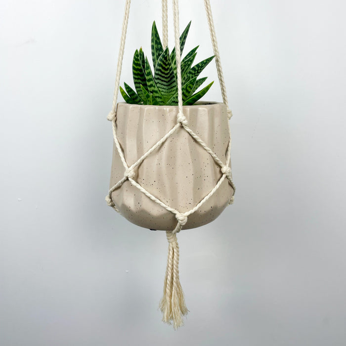 Настінний гачок для вазонів та декору | 10 см х 15 см