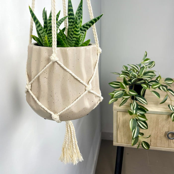 Еко-підвіс для кімнатних рослин | 10 х 15 см