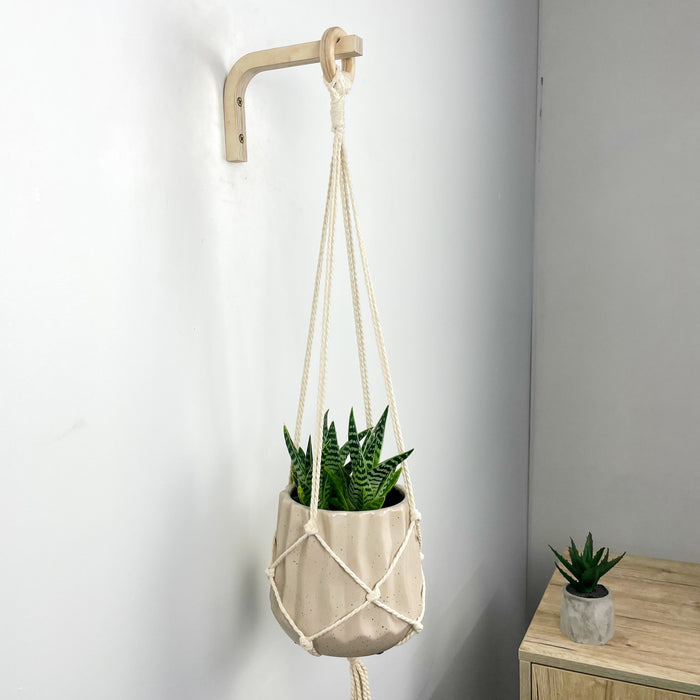 Еко-підвіс для кімнатних рослин | 10 х 15 см