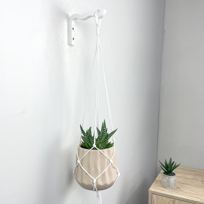 Мінімалістичний хвилястий підвіс для квітів