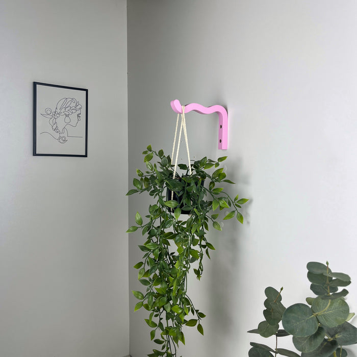 Рожевий хвилястий гачок для рослин для дому | 10 см х 15 см