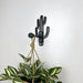 Cactus Wall Wood Hook for Hanging Plants | Black 6" - Image 1