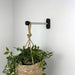 Black Indoor Plant Bracket for Wall | 6" 8" 10" - Image 1