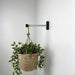 Black Indoor Plant Bracket for Wall | 6" 8" 10" - Image 2