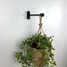 Black Plant Hanger Hook for Wall | 6" 8" 10" - Image 2