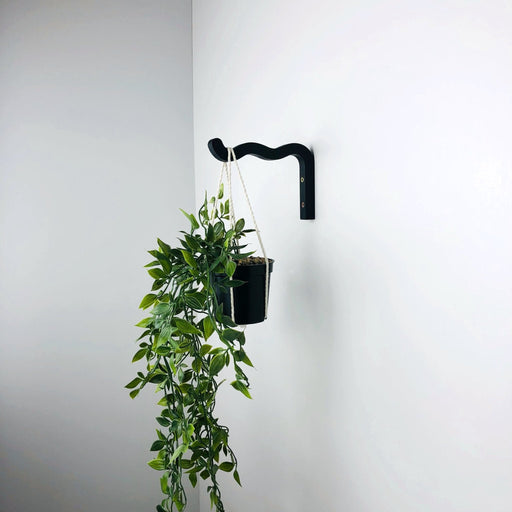 Black Wavy Plant Hook for Indoor | 6"x4" - Image 2