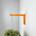 Bright Indoor Plant Hook for Wall | 6"x4" - Image 2
