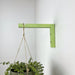 Bright Indoor Plant Hook for Wall | 6"x4" - Image 3