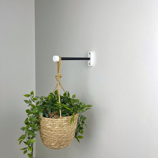 Indoor Hanging Plant Hook | Black & White 6" 8" 10" - Image 1