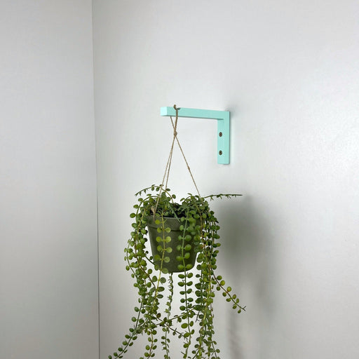 Indoor Plant Hook for Planters | Sky Blue 6"x4" - Image 1