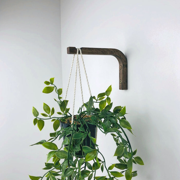 Indoor Plant Wall Bracket | Walnut 6"x4" - Image 3