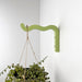 Wavy Bracket for Indoor Plants | Green 6"x4" - Image 1