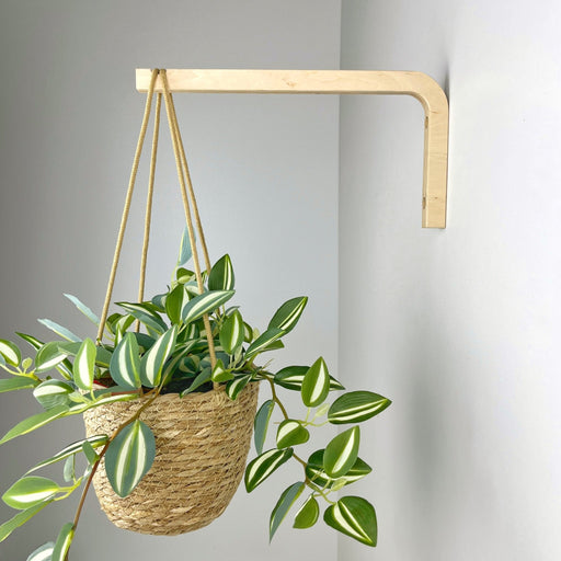 Long Wall Hanging Plant Hook | Natural 10" 12" - Image 1