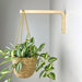Long Wall Hanging Plant Hook | Natural 10" 12" - Image 1