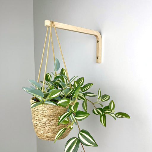 Long Wall Hanging Plant Hook | Natural 10" 12" - Image 2