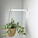 Long Wall Hanging Plant Hook | White 10" 12" - Image 1