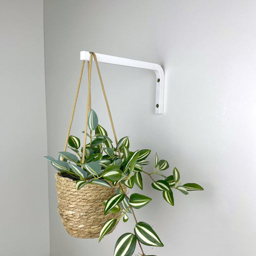 Long Wall Hanging Plant Hook | White 10" 12" - Image 2