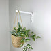 Long Wall Hanging Plant Hook | White 10" 12" - Image 2