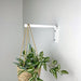 Long Wall Hanging Plant Hook | White 10" 12" - Image 3