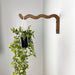 Long Wavy Wall Plant Hook | Walnut 12"x6" - Image 1