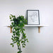 Long White Floating Wall Shelf With Brackets - Image 3