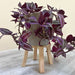 Mini Tabletop Plant Stand | Natural - Image 2