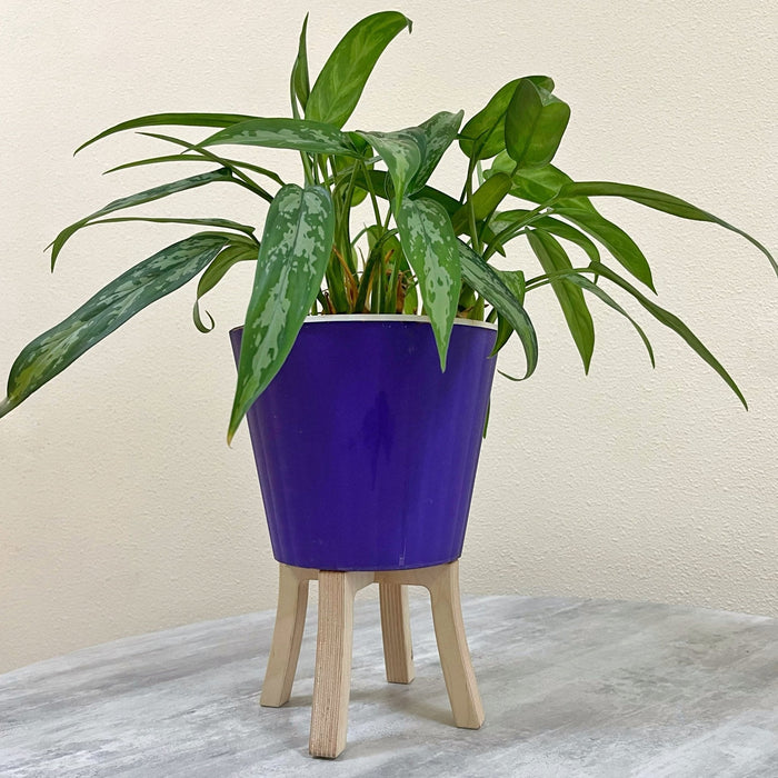 Mini Tabletop Plant Stand | Natural - Image 3