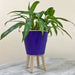 Mini Tabletop Plant Stand | Natural - Image 3