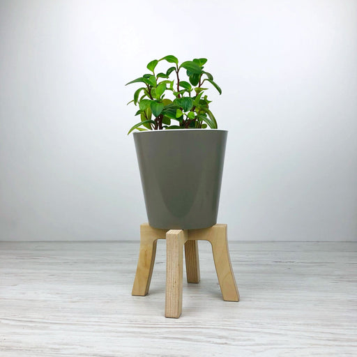 Mini Tabletop Plant Stand | Natural - Image 1