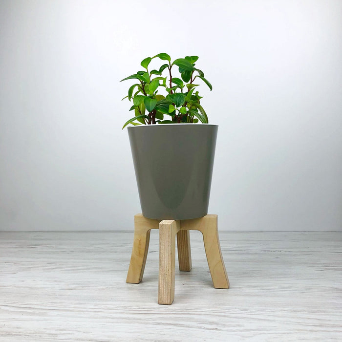 Mini Tabletop Plant Stand | Natural - Image 1