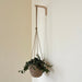 Minimalist Plant Hanger Bracket | Natural 6"x4" - Image 4