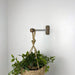 Minimalist Plant Hanger Hook | Silver & Walnut 6" 8" 10" - Image 1