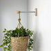 Modern Plant Hanger Bracket | Silver & Natural 6" 8" 10" - Image 2