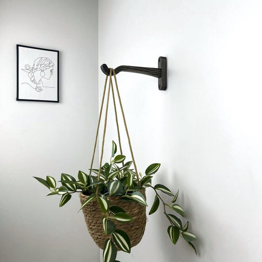 Modern Wall - Mounted Wooden Hook for Plants | Bog Oak Color - Image 2