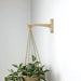 Modern Wall - Mounted Wooden Hook for Plants | Natural Color - Image 2