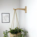 Modern Wooden Hook for Hanging Plants | 8" - Image 2