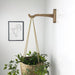 Modern Wooden Hook for Hanging Plants | Walnut - Image 1