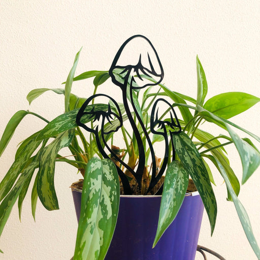 Mushroom Plant Trellis for Indoor Plants | Black - Image 1