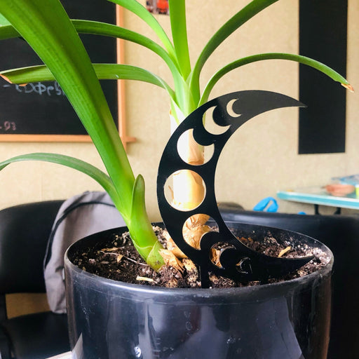 Mystical Moon Phase Plant Trellis | Black - Image 2