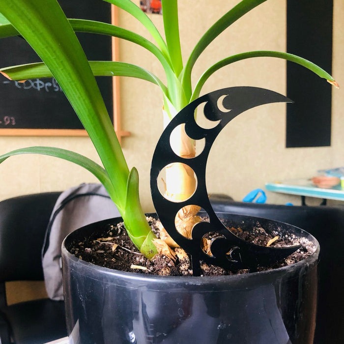 Mystical Moon Phase Plant Trellis | Black - Image 2