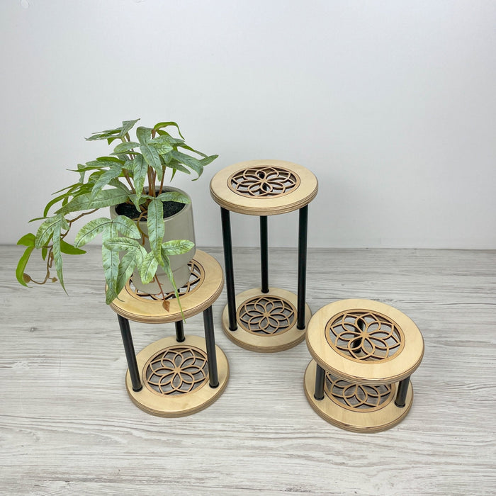 Organic Shape Plant Stand Set of 3 | Soft Minimal Design - Image 3