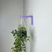 Purple Wavy Plant Hook for Indoor | 6"x4" - Image 1