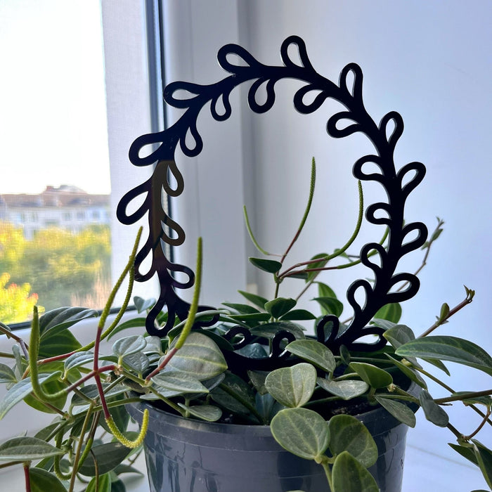 Round Plant Leaf Trellis for Climbing Plants | Black - Image 2
