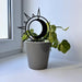 Sun & Moon Plant Trellis for Indoor Plants | Black - Image 1