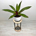 Tall Stand for Pots for Indoor Plants Black - Image 3