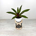 Tall Stand for Pots for Indoor Plants Black - Image 9