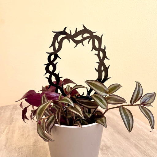 Thorns Crown Trellis for Potted Plants | Black - Image 1