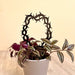 Thorns Crown Trellis for Potted Plants | Black - Image 1